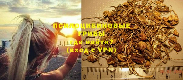 амф Богородск
