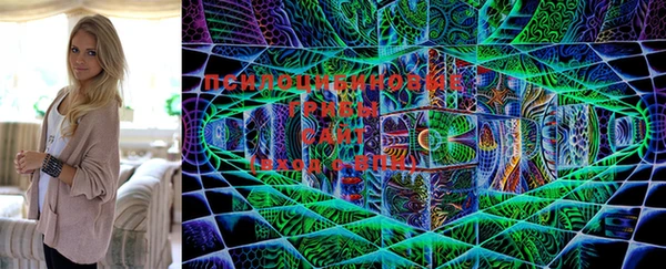 ПСИЛОЦИБИНОВЫЕ ГРИБЫ Болотное