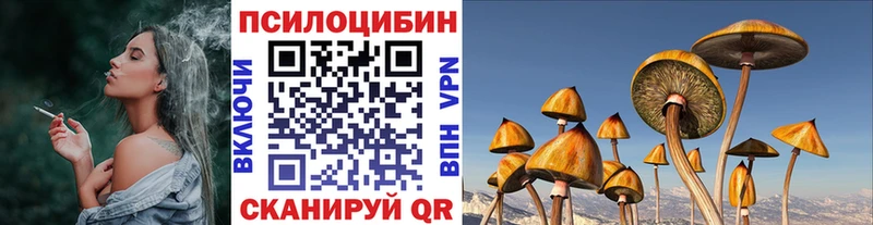 сколько стоит  Мариинский Посад  Галлюциногенные грибы GOLDEN TEACHER 